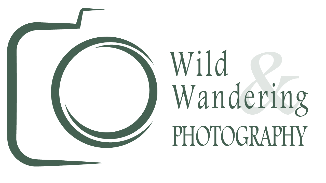 Wild & Wandering Photography